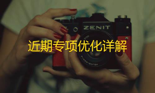 近期专项优化详解